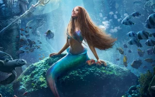 the little mermaid image